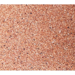 50Gram Hạt giống cây gỗ bạch đàn trắng