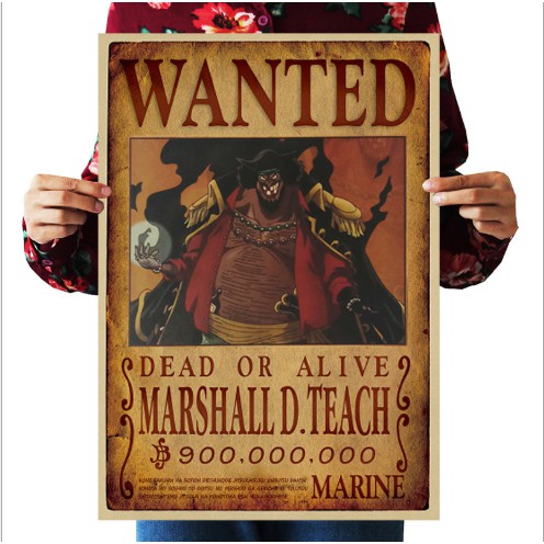 Bộ 69 tấm Poster one piece