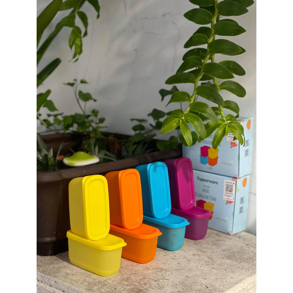 Bộ 4 hộp bảo quản thực phẩm Mini retangular 250ml Tupperware.
