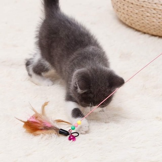 😻😻 gậy mèo gắn lông vũ