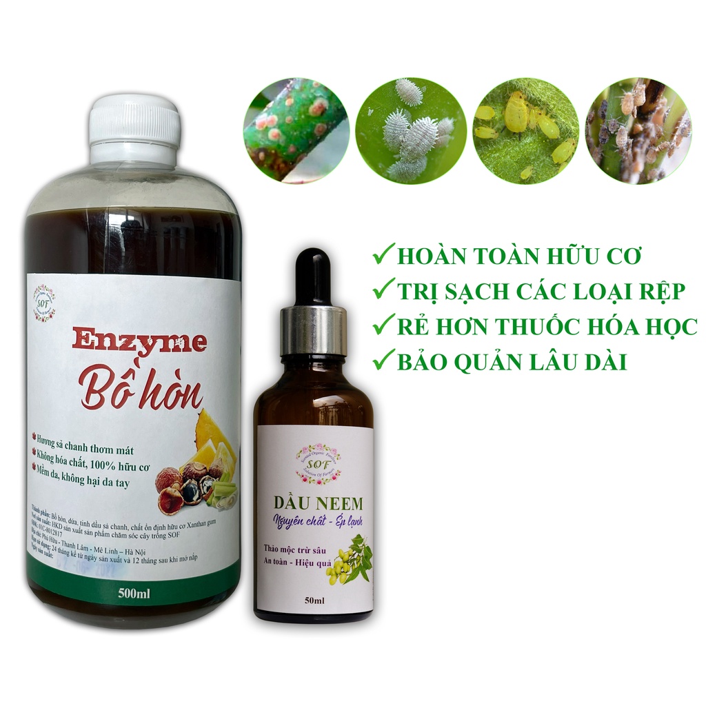 Thuốc sinh học đặc trị rệp, rệp sáp, rệp vảy, rầy…