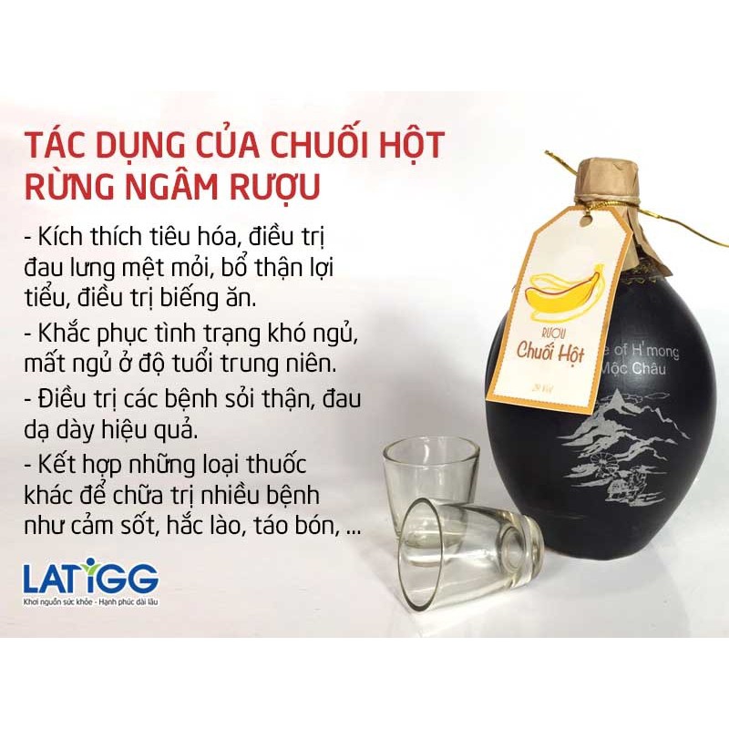 Chuối Hột Rừng loại 1 ngâm rượu [1 Kg] (chuẩn Tây Bắc)