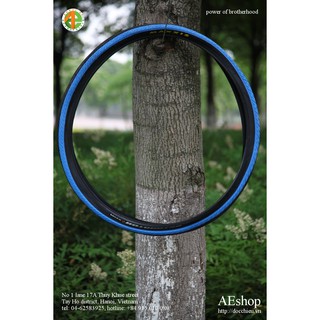 lốp Maxxis vỏ Maxxis Detonator 26*1.5 mtb trọc chống gai blue