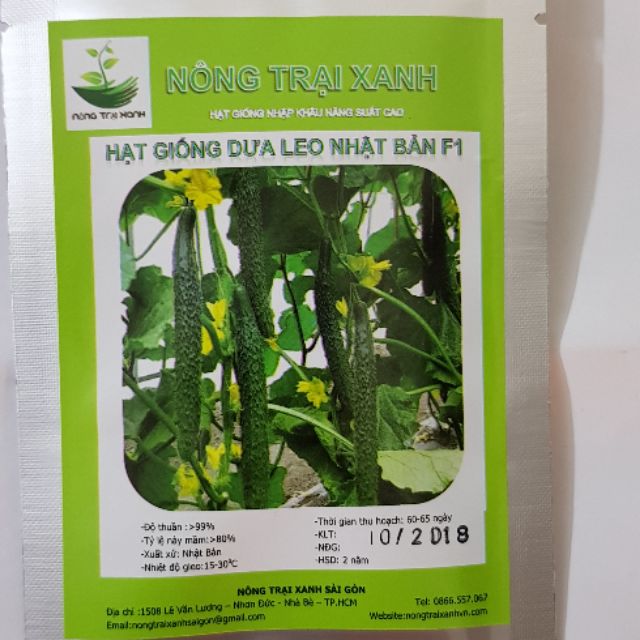 Hạt Giống Dưa Leo Nhật Bản (60 hạt)