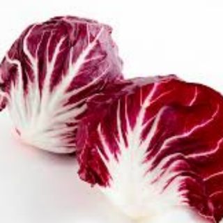 Hạt giống Rau Diếp Xoăn Radicchio Rosa
