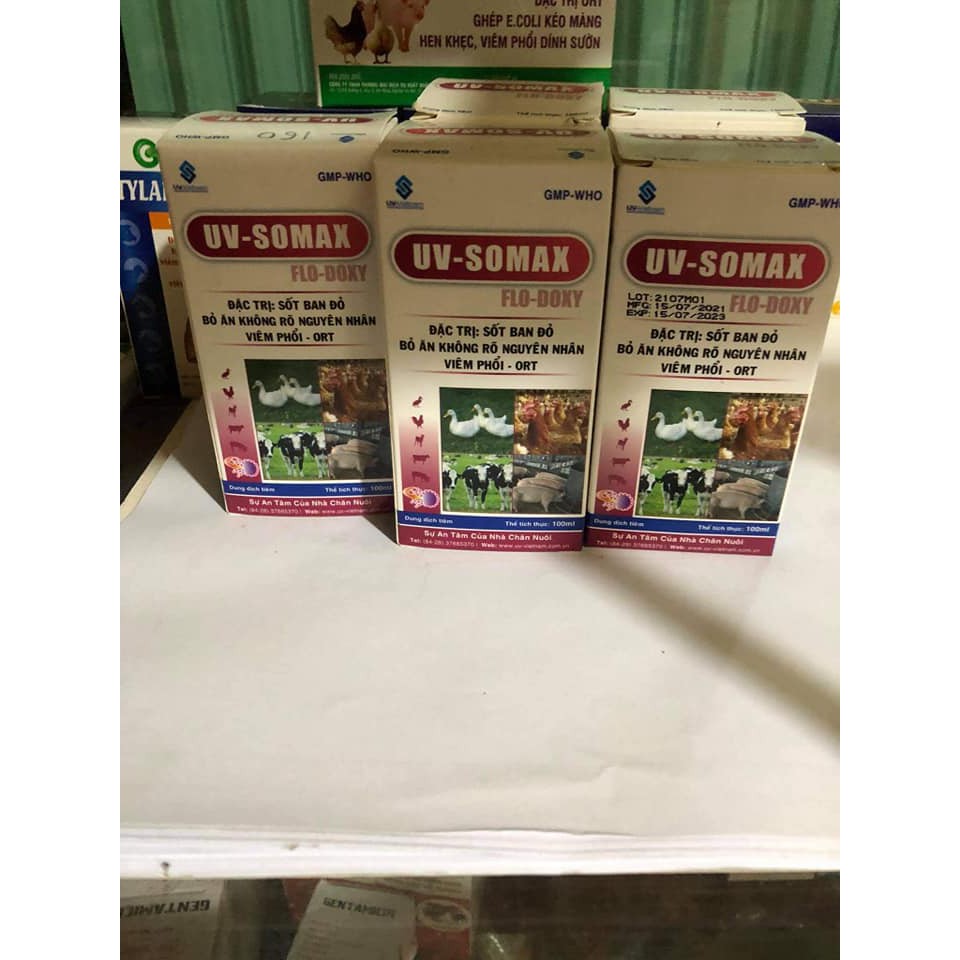 [ Hàng Chính Hãng] UV-SOMAX [100ml và 20ml ] ngừa viêm phổi, khẹc, ORT, E.coli, bại huyết, bỏ ăn không ror nguyên nhân