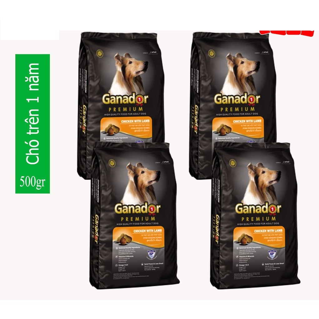 Combo 4 túi thức ăn hạt dành cho chó trưởng thành- Hiệu GANADOR