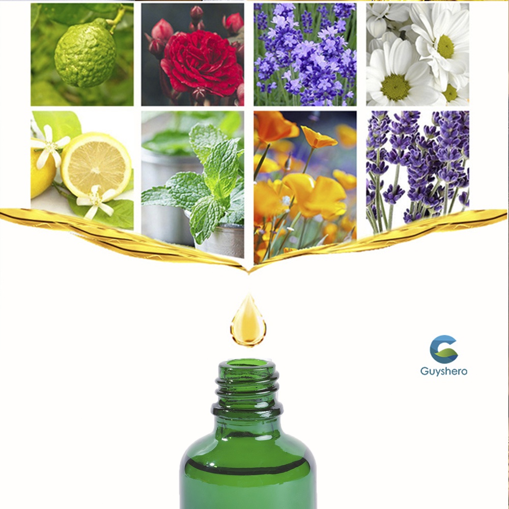 Guyshero Tinh dầu chiết xuất từ thực vật Chai màu xanh lá cây 100% nguyên chất cho máy khuếch tán hương liệu SPA 10ML 18 mùi hương