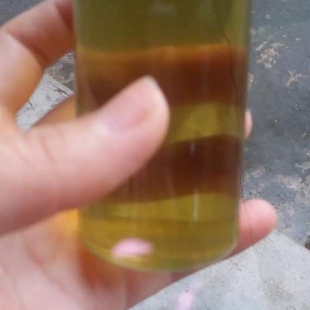 Dầu tràm nguyên chất