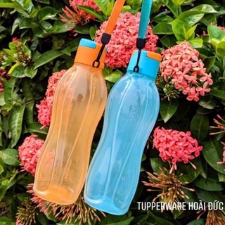 Bình nước Eco 500ml Tupper