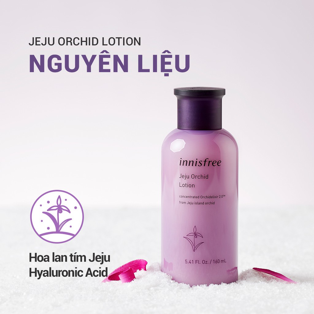 [Mã COSIF05 giảm 10% đơn 400K] Sữa dưỡng chống lão hóa hoa lan tím innisfree Jeju Orchid Lotion 160ml