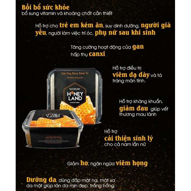 Mật ong Rừng Bánh tổ hộp 320g - Bộ 2 hộp [TẶNG KÈM 2 MẬT ONG HOA RỪNG 110G+1 PHẤN HOA 60G] | BigBuy360 - bigbuy360.vn