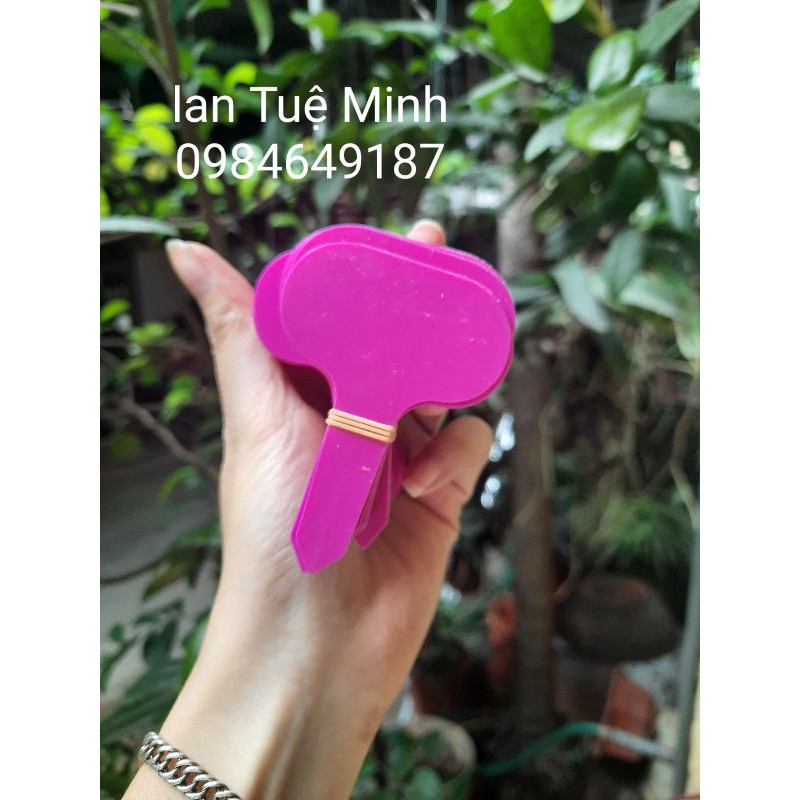 Set 20 thẻ tên dạng cắm đủ 5 màu trong 1 set - Ghi tên cây, phong lan, đồ vật