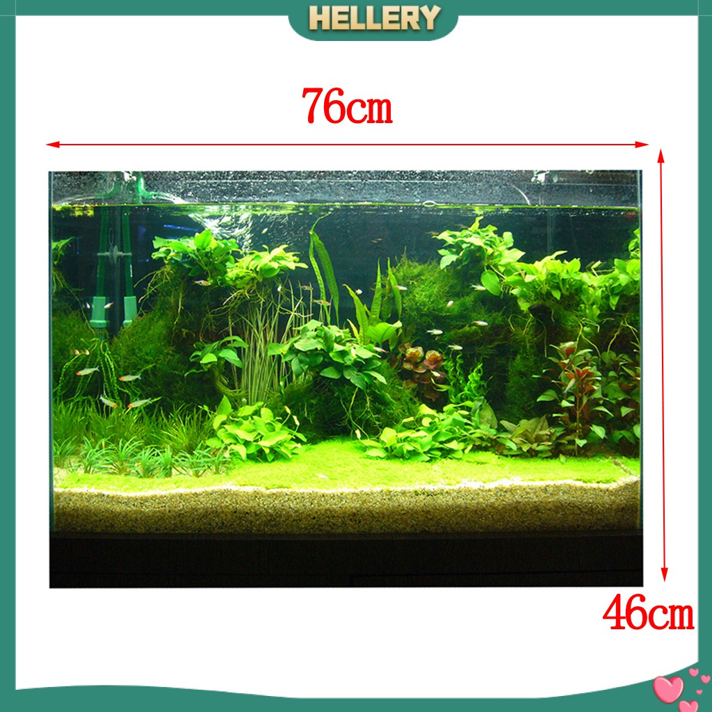 Giấy Dán Tường 3D Độ Nét Cao Trang Trí Bể Cá