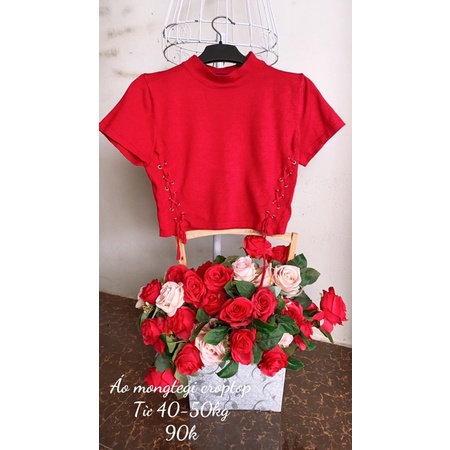 Áo mongtegi dáng croptop
