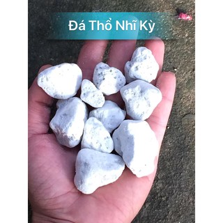 Đá bọt Thổ Nhĩ Kỳ Pumice stone