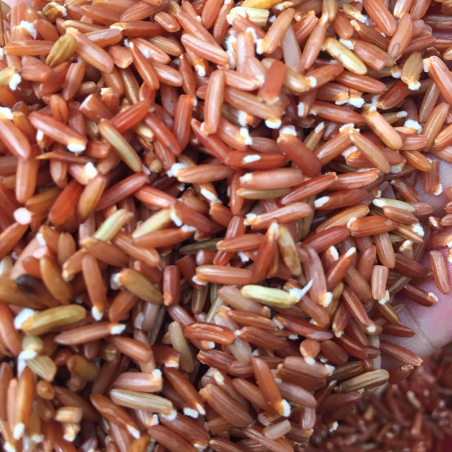 Gạo lứt dẻo gói 2kg