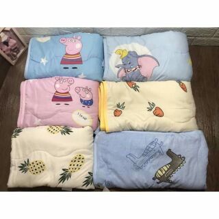 Chăn đủi hè thu cao cấp