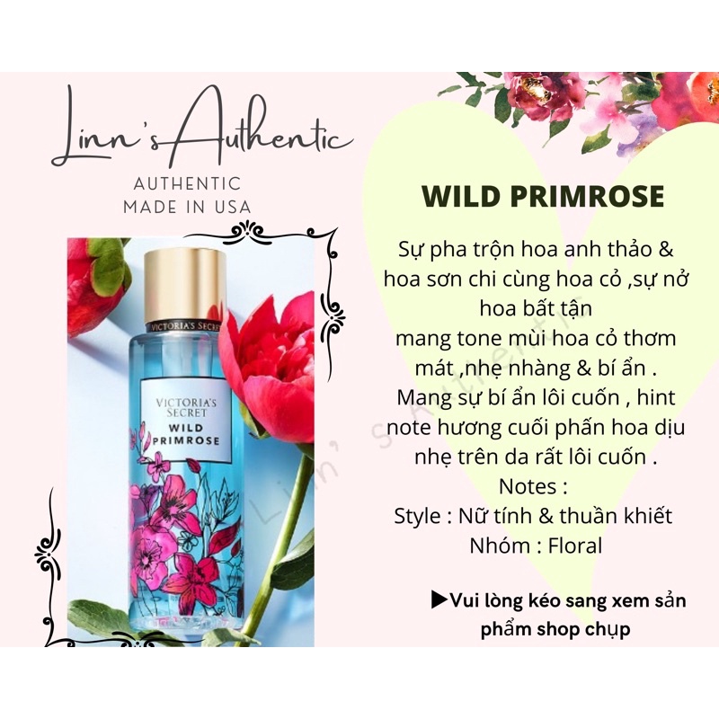 WILD PRIMROSE - Xịt Thơm Toàn Thân Body Mist Victoria’s Secret