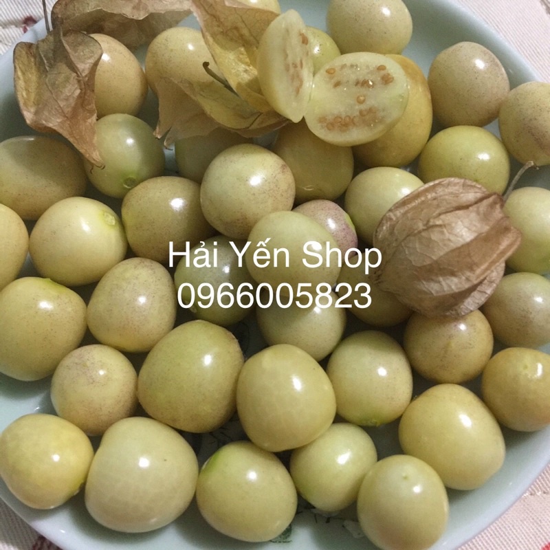 100g trái Tầm Bóp (thù lù) Việt Nam siêu ngon