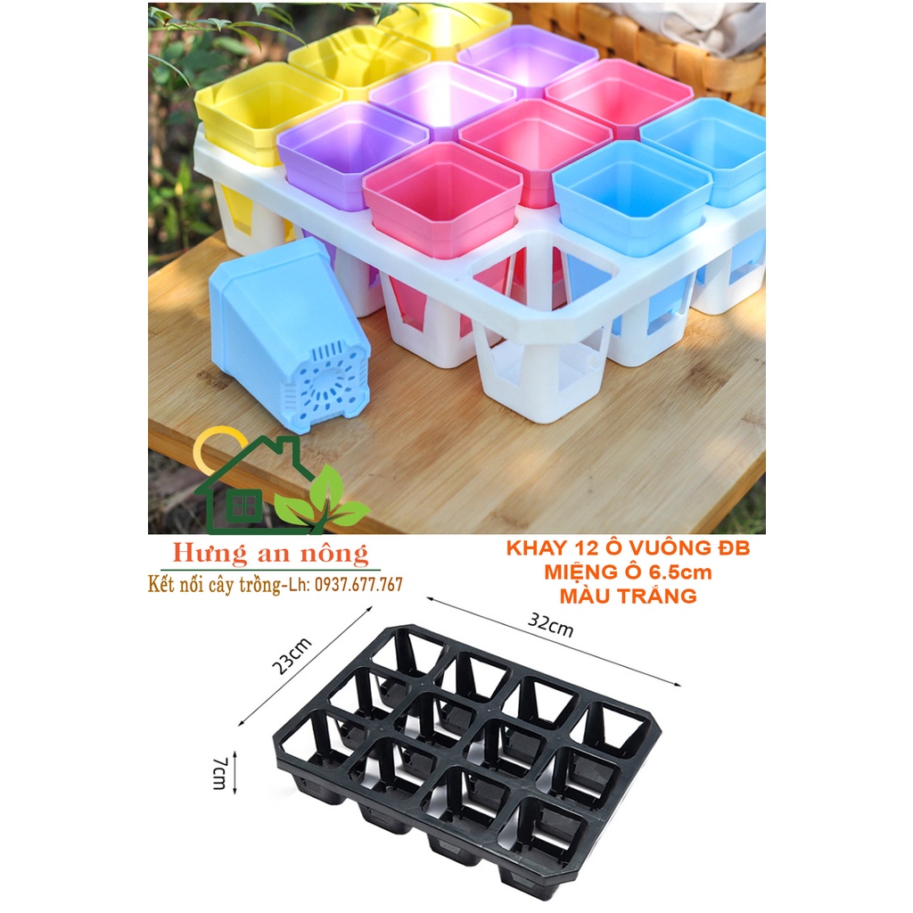 Khay nhựa 12 ô vuông DB - đen trắng dùng chứa chậu, đặc biệt đáy khay thiết kế liền đáy nên không bị dơ sàn tiện di dời.