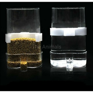 Cóng nước tự động cho chim các loại