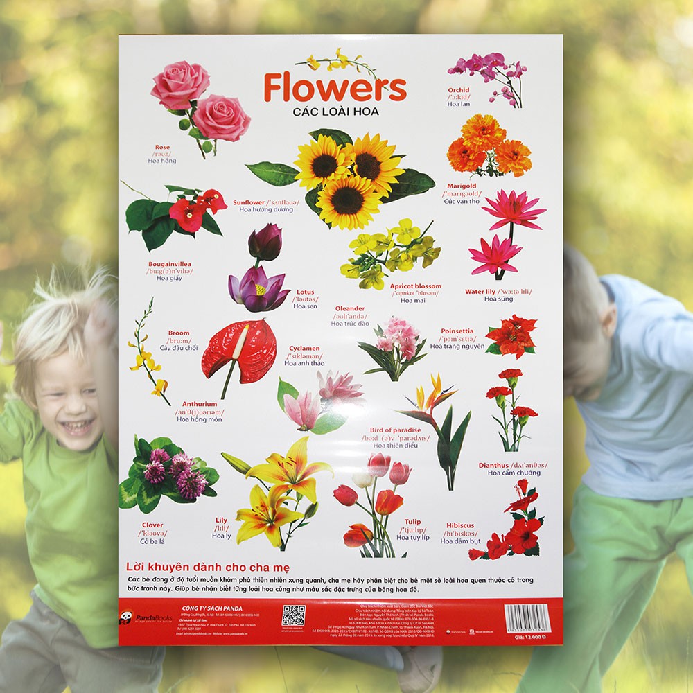 Poster - Các Loài Hoa  - Phương pháp trực quan, sinh động, vui nhộn