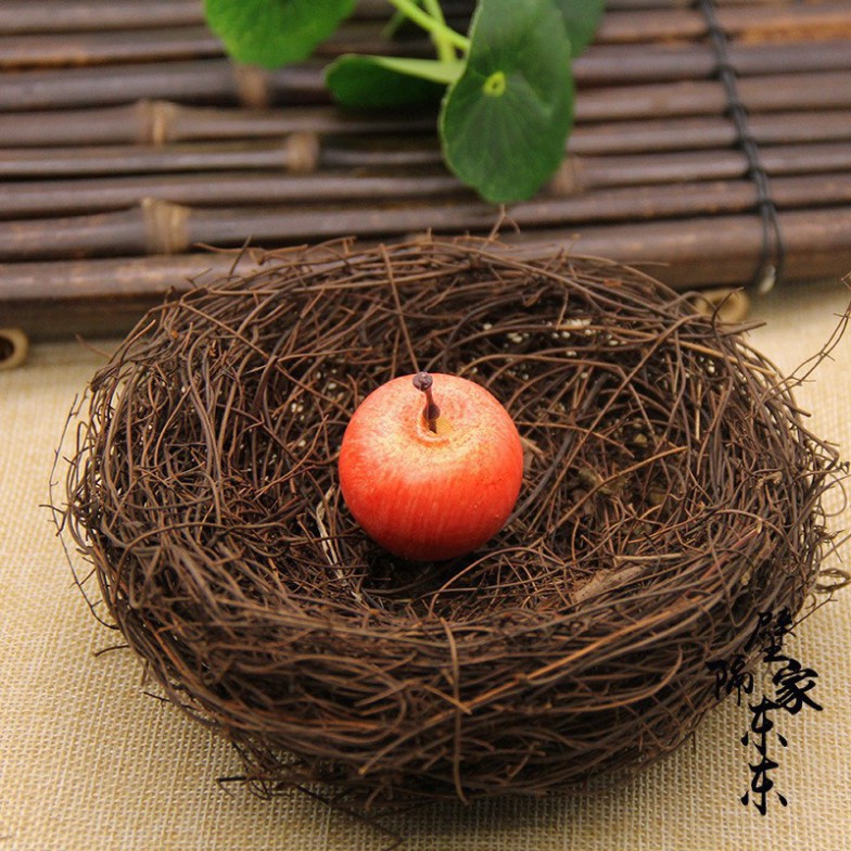 Tổ chim decor chụp hình food