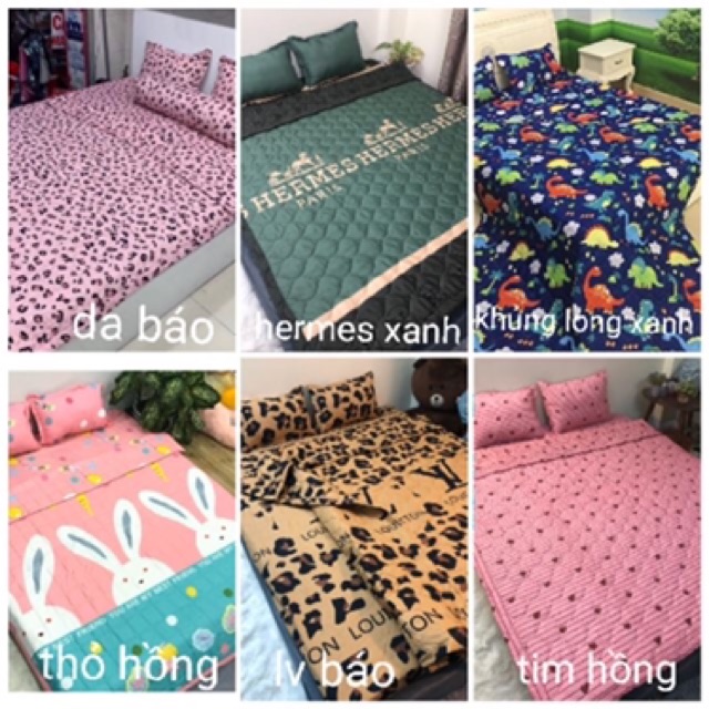Bộ ga gối chăn hè cotton poly 5 món cao cấp