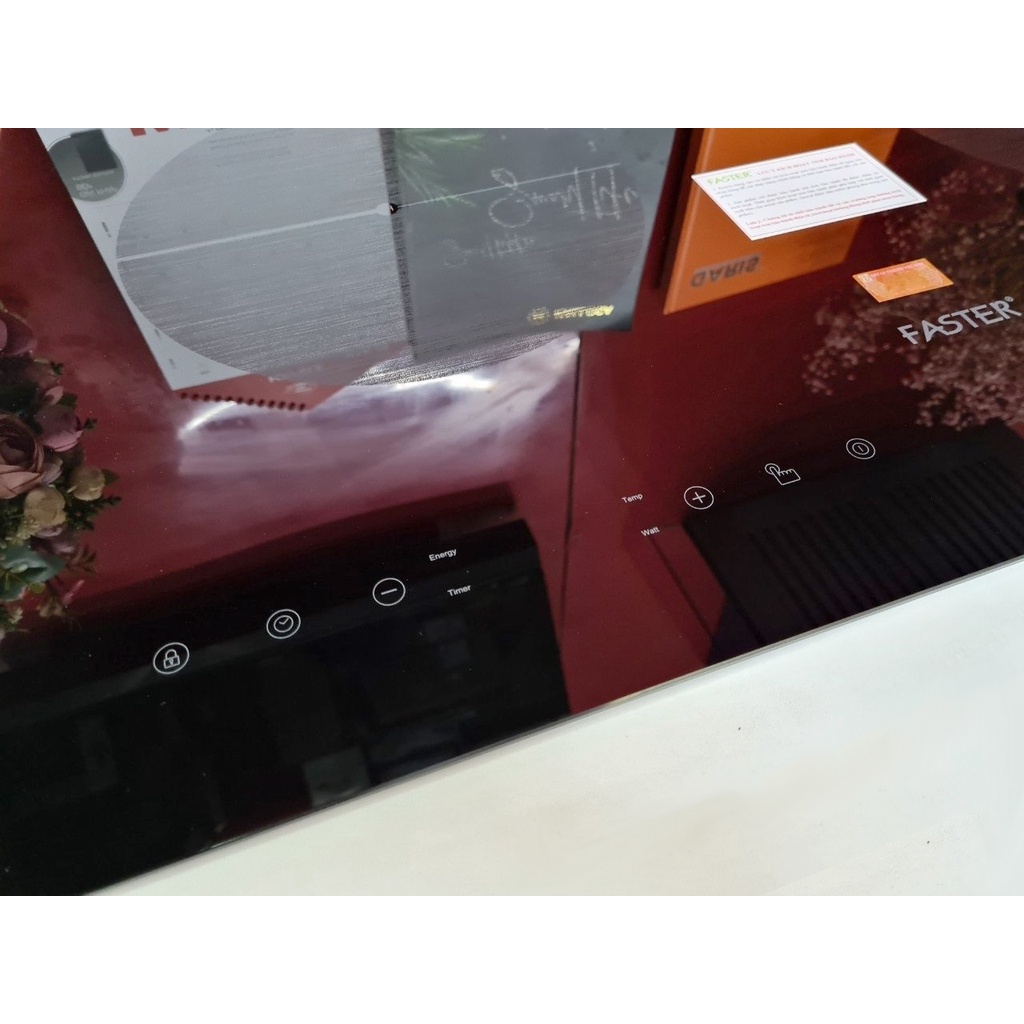 Bếp từ đôi Faster FS 289I  Bảo Hành 3 Năm