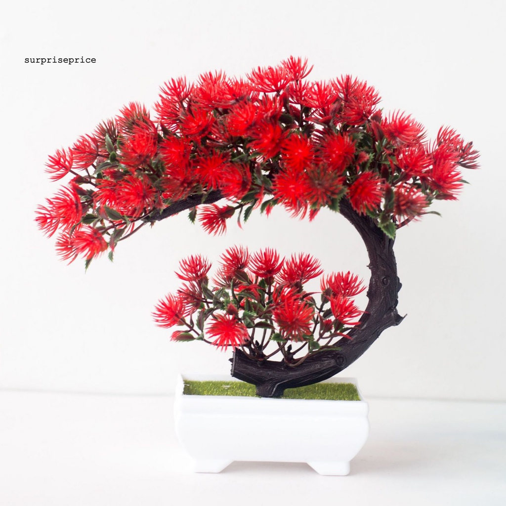 Chậu Cây Bonsai Giả Trang Trí