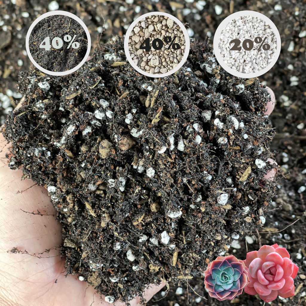 Đất trồng sen đá trộn sẵn (1kg) - Đất chuyên dụng cho sen đá