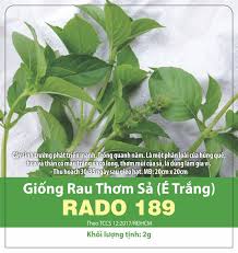 Hạt giống rau thơm Sả - húng trắng- 2 gram