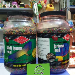 RepCal cho Igu trưởng thành