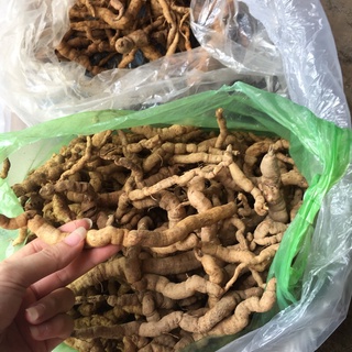 Ba kích rừng-1kg (Ba chẽ_Quảng Ninh)