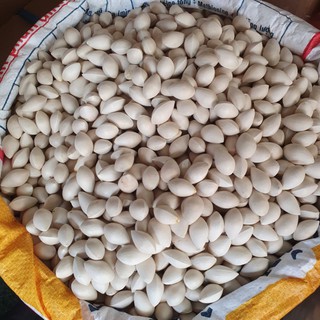 Bạch quả loại to nấu chè chưng yến