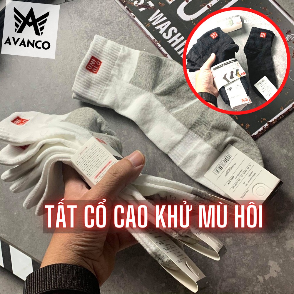 Tất chân nam cổ cao Avanco SỢI TRE khử mùi hôi, phong cách BASIC nhiều màu, TN01