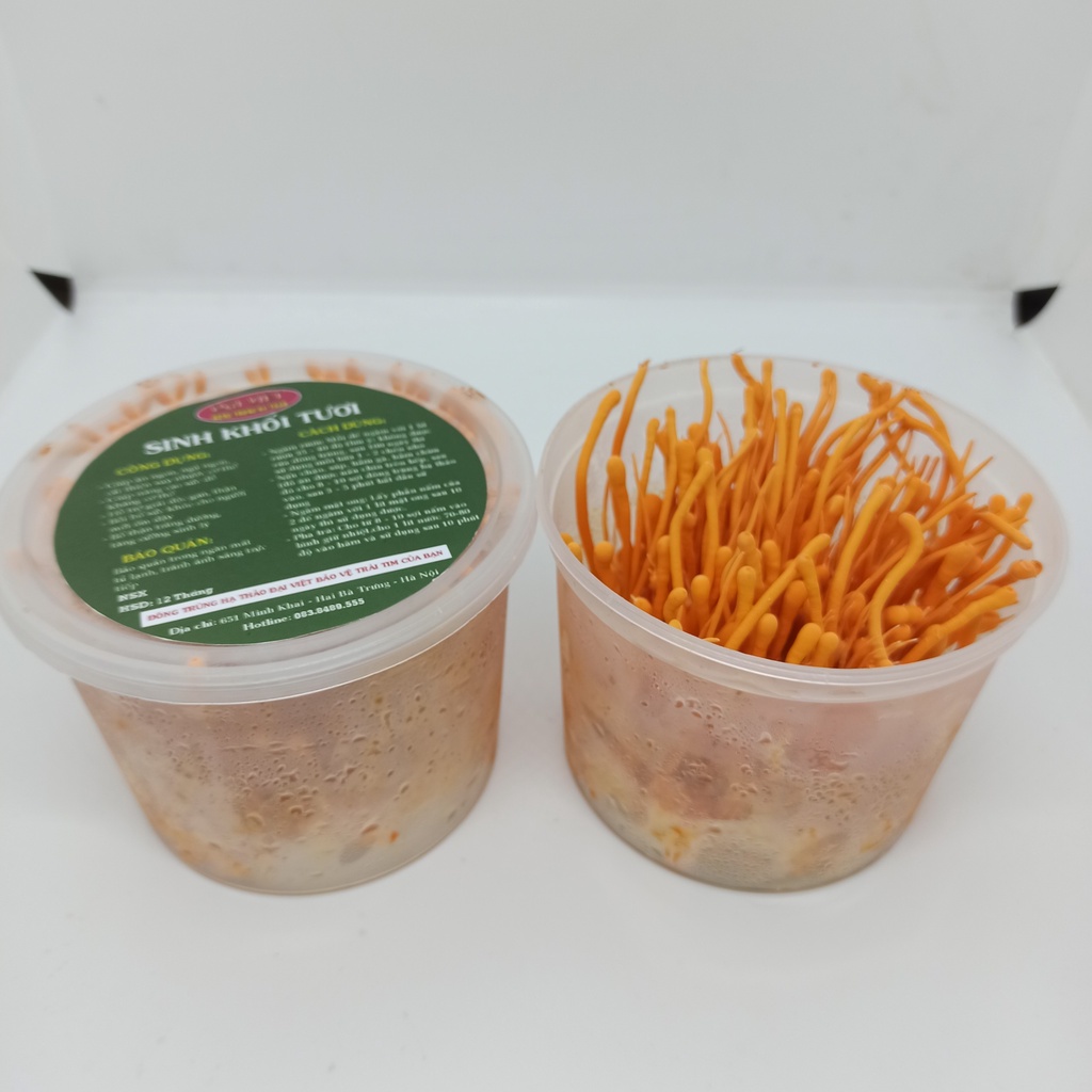 Đông Trùng Hạ Thảo tươi [1 ĐẾ] - Mỗi đế nặng 170~200g
