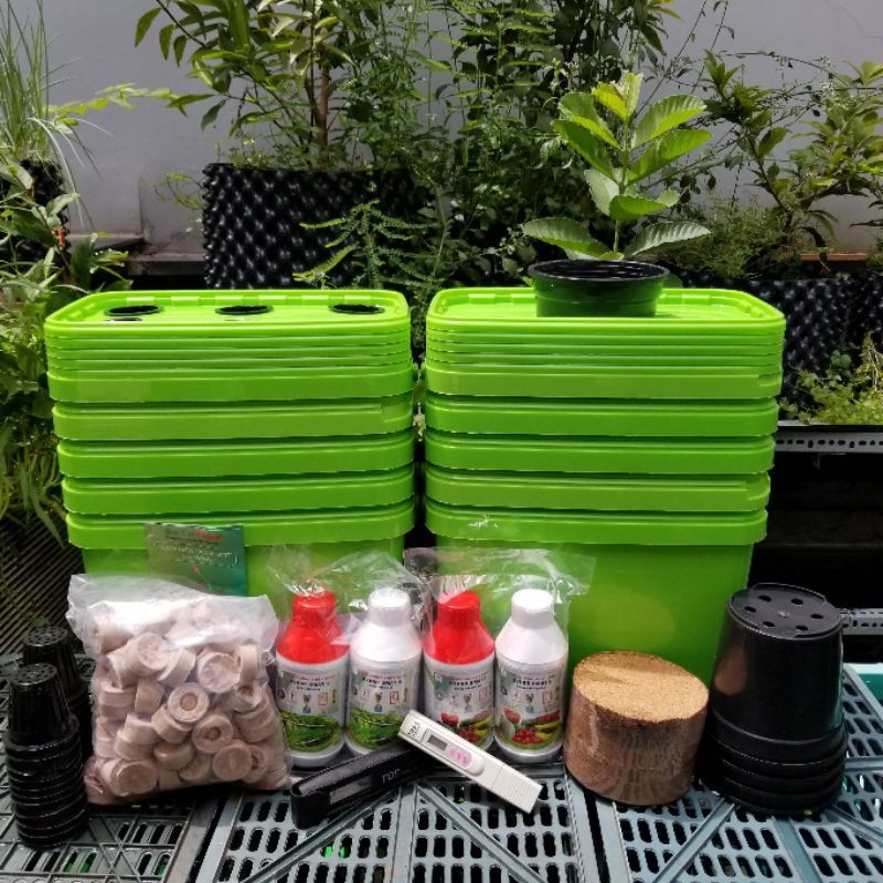 Combo 10 thùng nhựa trồng rau sạch thủy canh tĩnh ăn quả full phụ kiện kèm Dinh dưỡng Hydro Umat F trồng rau ăn quả