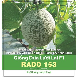 Hạt Giống Dưa Lưới F1 Chịu Nhiệt, Trái Nặng 2-2,2kg Giòn Ngọt - Gói 10 Hạt