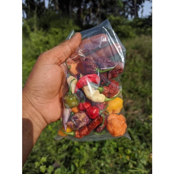 100 gram trái ớt tươi  mix đủ loại, đủ màu