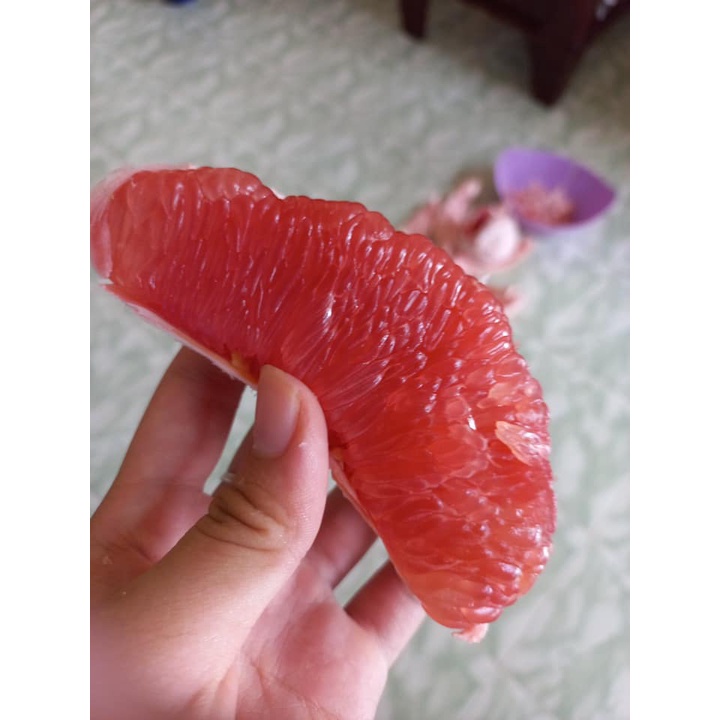 Giống Bưởi Vàng Nhập Khẩu Phúc Kiến