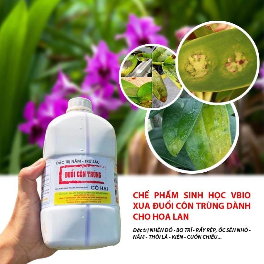 Shop Kenkou_Chế phẩm sinh học VBIO trị nấm, trừ sâu, xua đuổi côn trùng