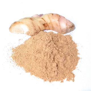 Hũ 20g bột giềng / riềng - Galangal Powder