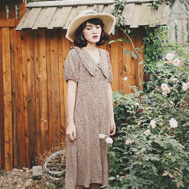 Váy beo pet by chang