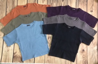 FREESHIP 50k. áo croptop ôm body