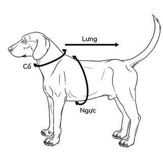 Đầm Ấm Áp Cho Chó Mèo