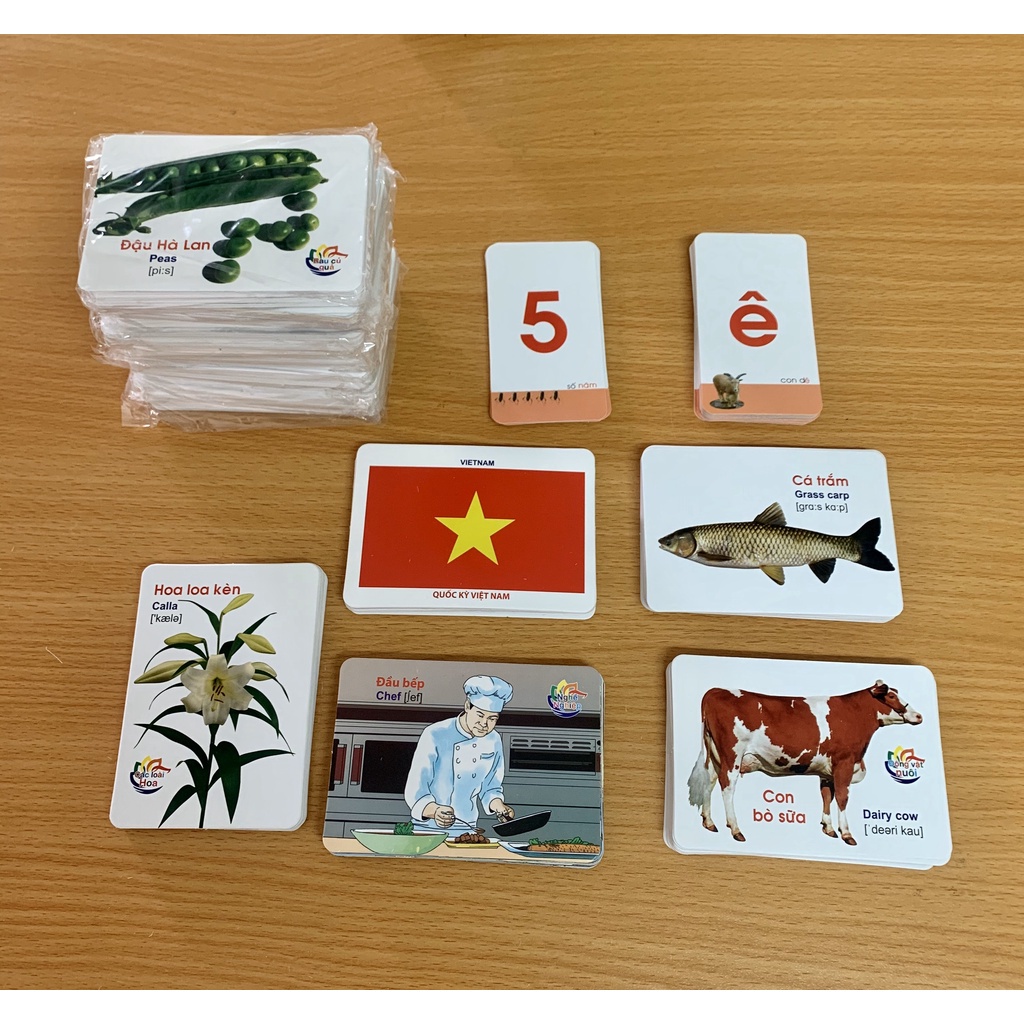 Flashcard Bộ Thẻ Học Thông Minh loại nhỏ Flashcard song ngữ tiếng Anh loại chuẩn Glenn Doman cho bé từ 0-6 tuổi 7*10cm