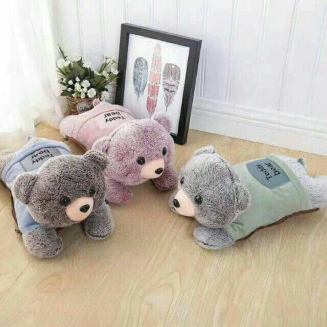 Túi Sưởi Chườm Hình Thú Bông Mới