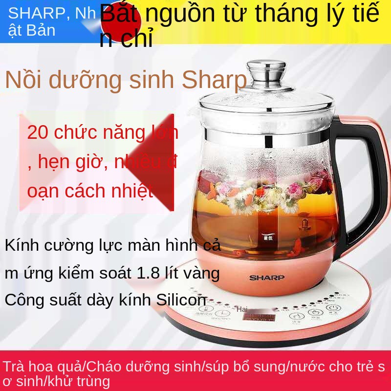 Bình sức khỏe gia dụng Nhật Bản, máy pha trà nhỏ văn phòng tự động đa chức năng, ấm đun sôi, điện